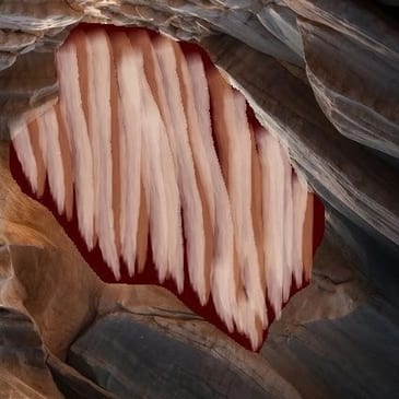 The Membrane book cover